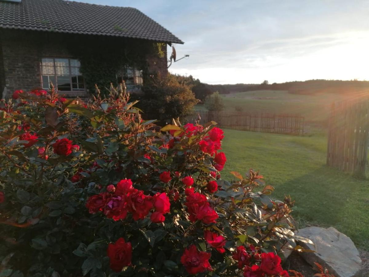 Rocks & Roses Farm Stay Lochiel Zewnętrze zdjęcie
