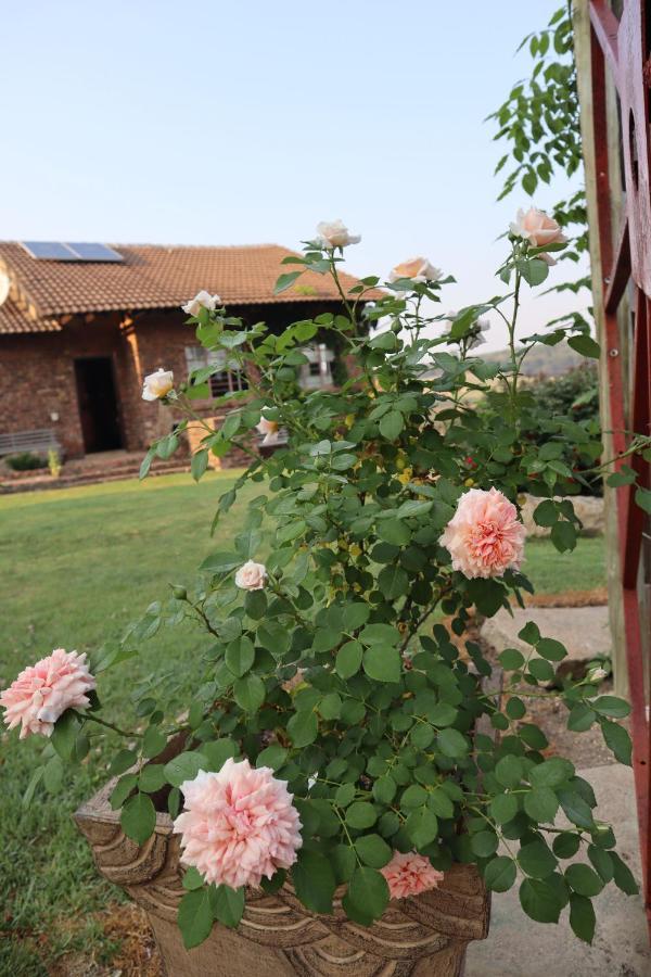 Rocks & Roses Farm Stay Lochiel Zewnętrze zdjęcie
