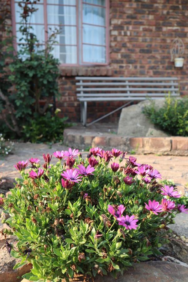 Rocks & Roses Farm Stay Lochiel Zewnętrze zdjęcie